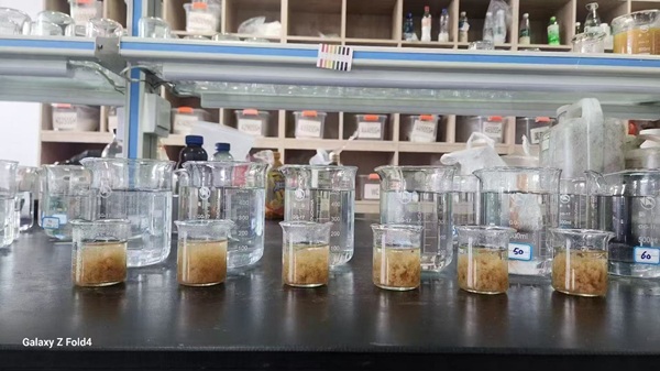 如何精准选择聚丙烯酰胺（PAM）？从分子量到离子度的全方位解析